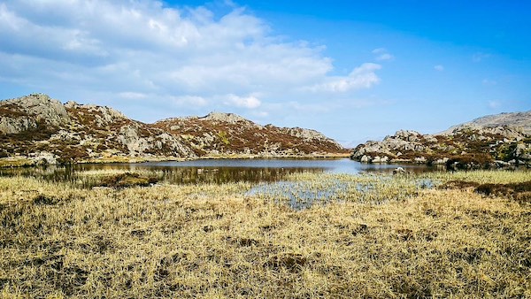 Innominate Tarn, Haystacks