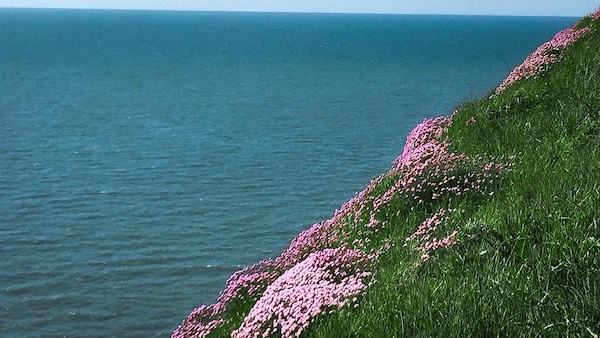 Stacks Image 872