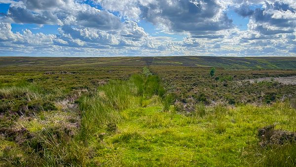 Jenny Bradley Cross, Greenhow Moor
