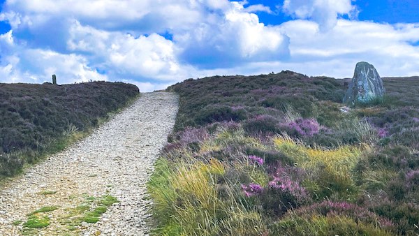 Round Hill, Urra Moor