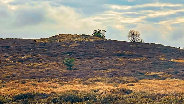 Pen Howe, Sleights Moor