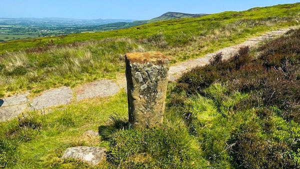 Knolls End, Live Moor