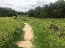 Lord Stones Country Park