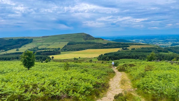Carlton Moor from Raisdale West