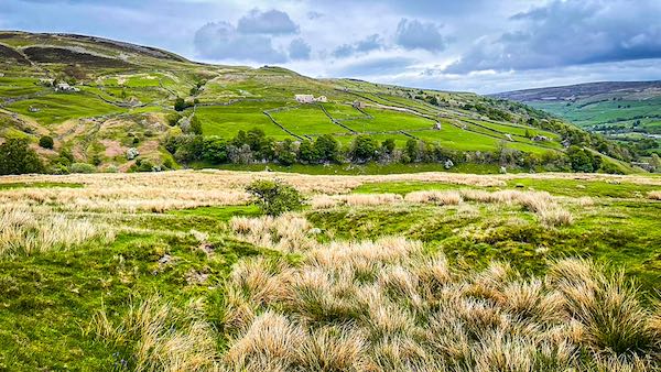 Knot Top to Brownsey Moor