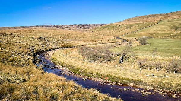 Whitsundale Beck from Ney Gill