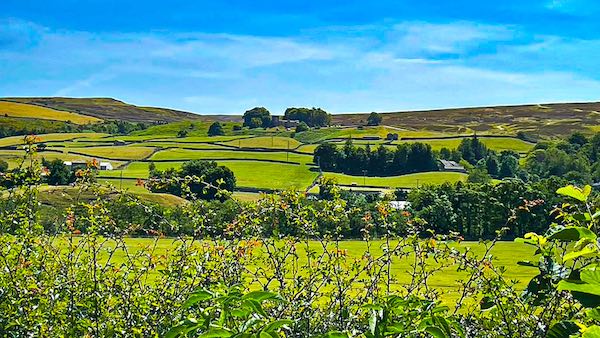 Ewelop Hill and Cogden Heugh, Grinton